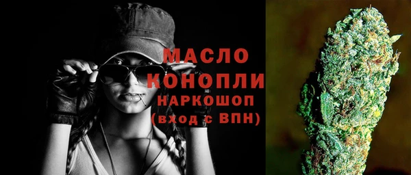 гашик Бородино