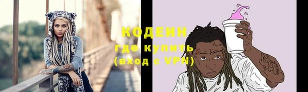 гашик Бородино