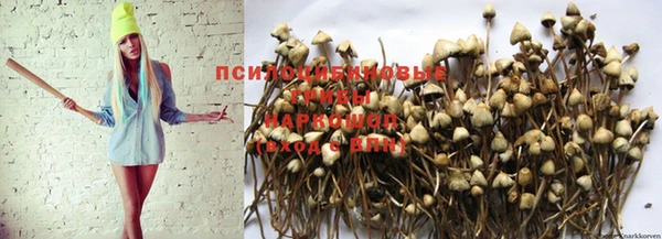 гашик Бронницы