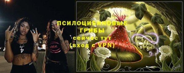 гашик Бородино