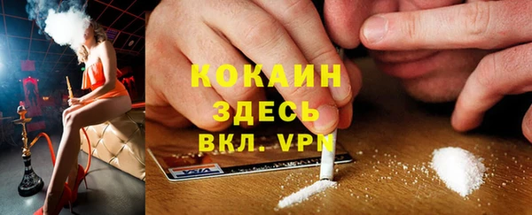 гашик Бородино