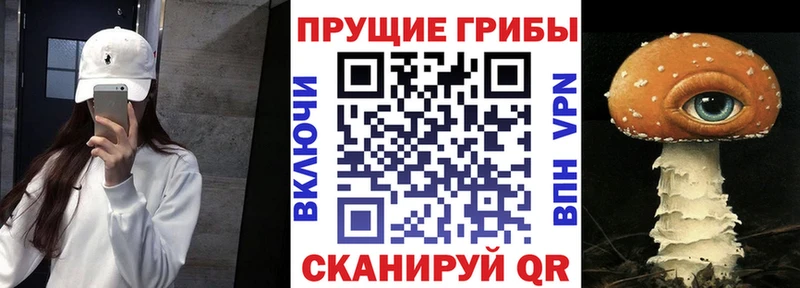Псилоцибиновые грибы Psilocybe  Купить закладки  Надым 